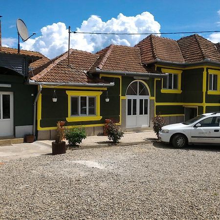 Casa Ana Appartamento Haţeg Esterno foto
