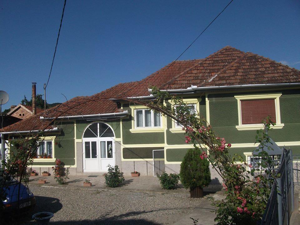 Casa Ana Appartamento Haţeg Esterno foto