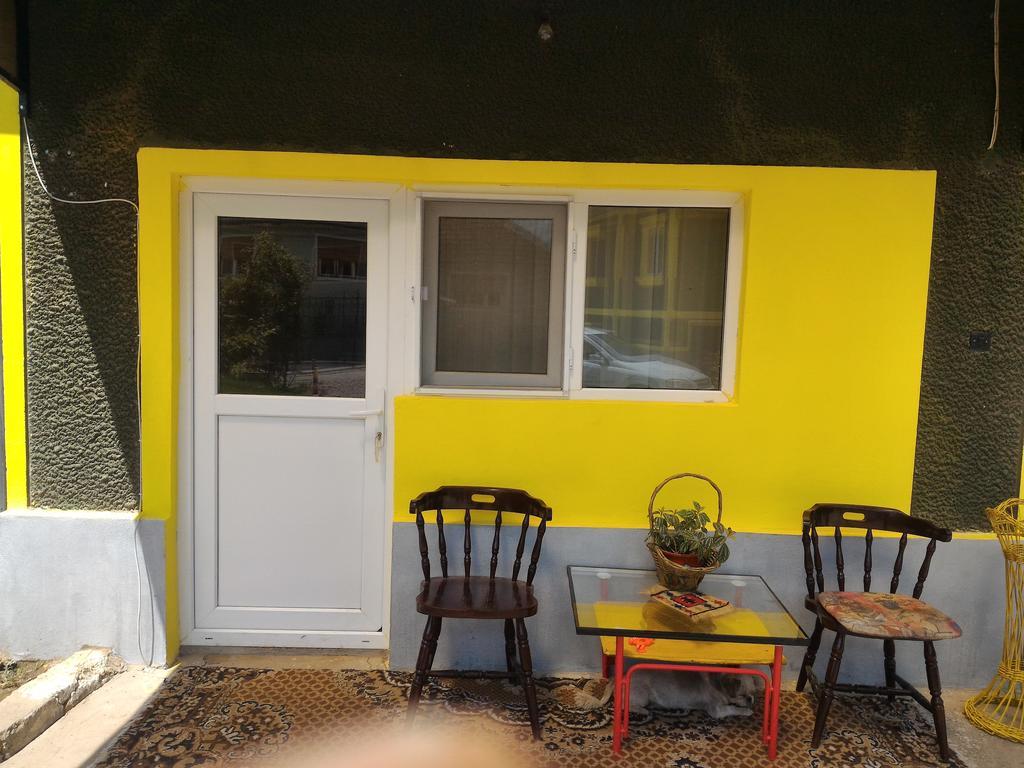 Casa Ana Appartamento Haţeg Esterno foto
