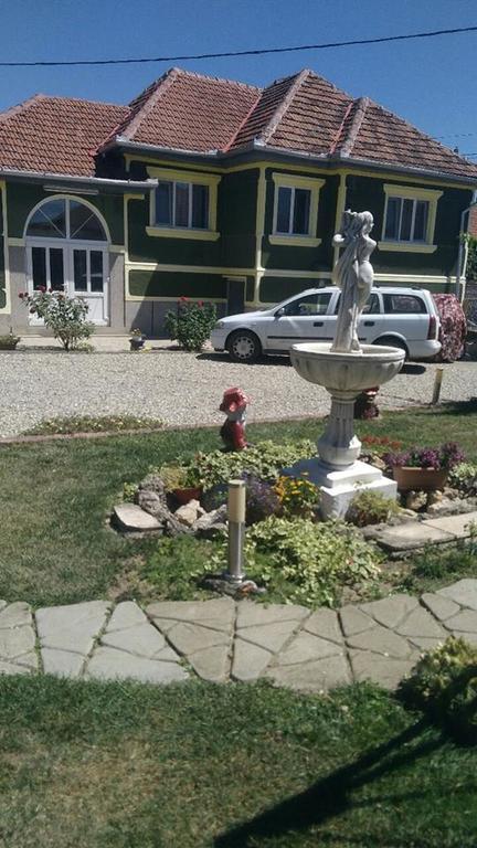 Casa Ana Appartamento Haţeg Esterno foto