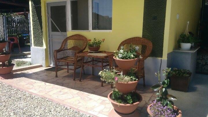 Casa Ana Appartamento Haţeg Esterno foto