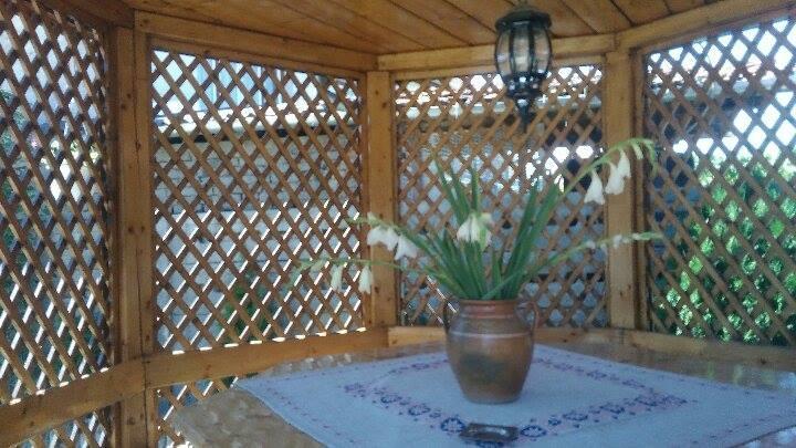 Casa Ana Appartamento Haţeg Esterno foto
