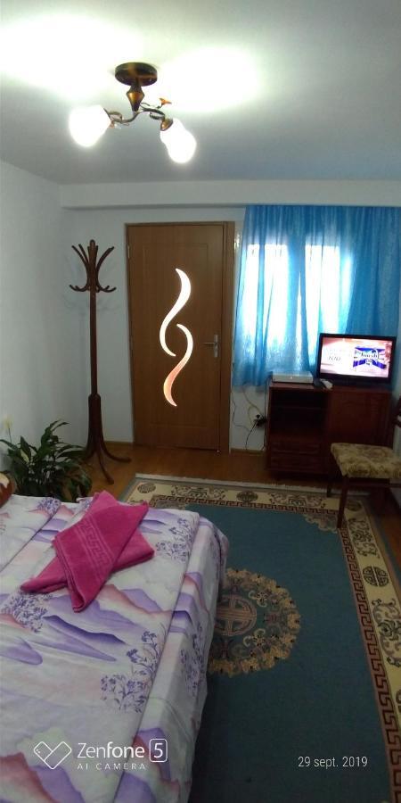 Casa Ana Appartamento Haţeg Esterno foto