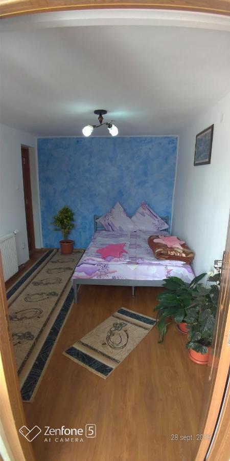 Casa Ana Appartamento Haţeg Esterno foto