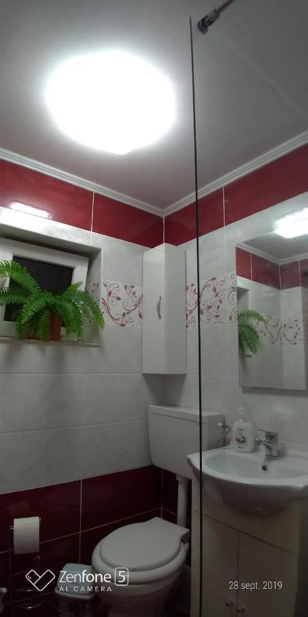 Casa Ana Appartamento Haţeg Esterno foto