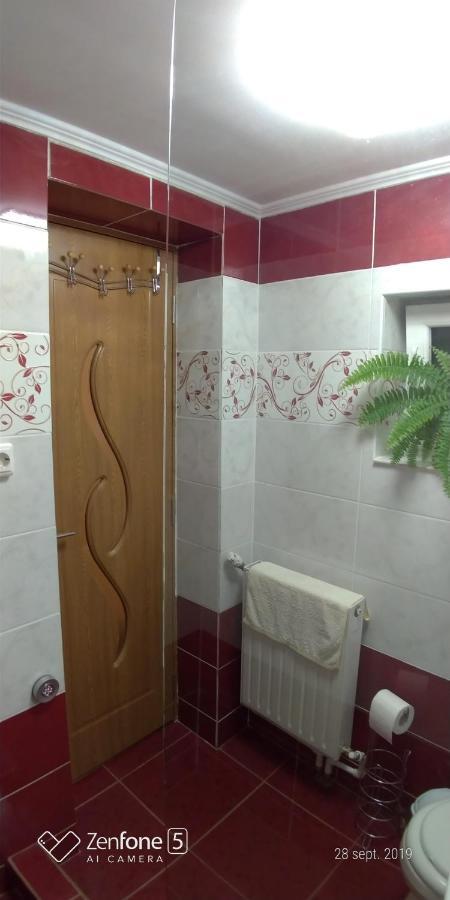 Casa Ana Appartamento Haţeg Esterno foto